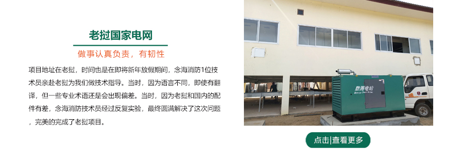 老撾國(guó)家電網(wǎng)柜式七氟丙烷滅火裝置